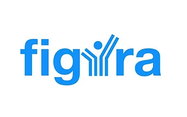 Серверное оборудование Figyra