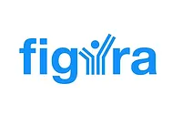 Серверное оборудование Figyra